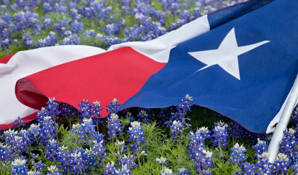 probate procss travis county